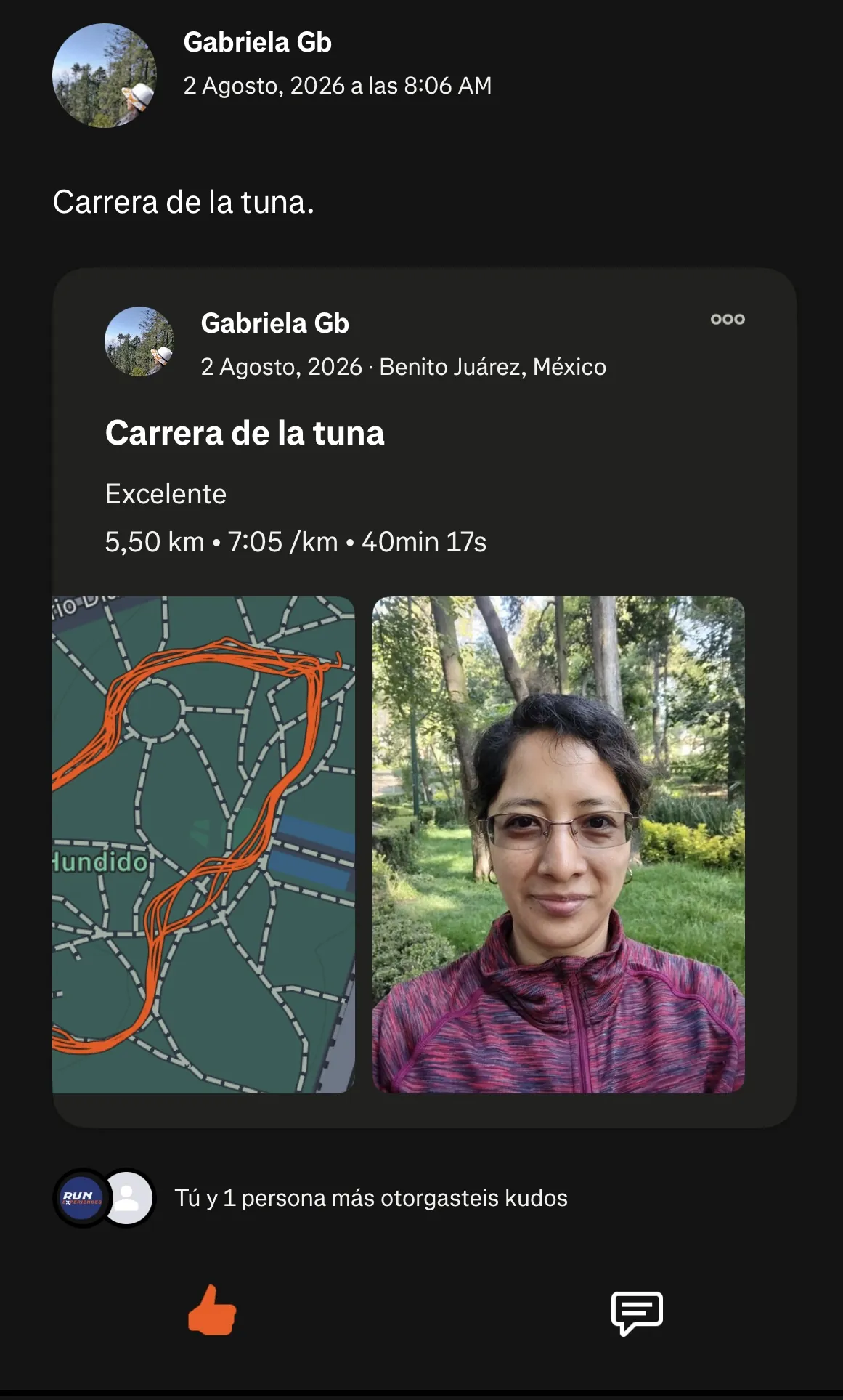 Reseña de un corredor de Carrera Virtual (6 de 7)