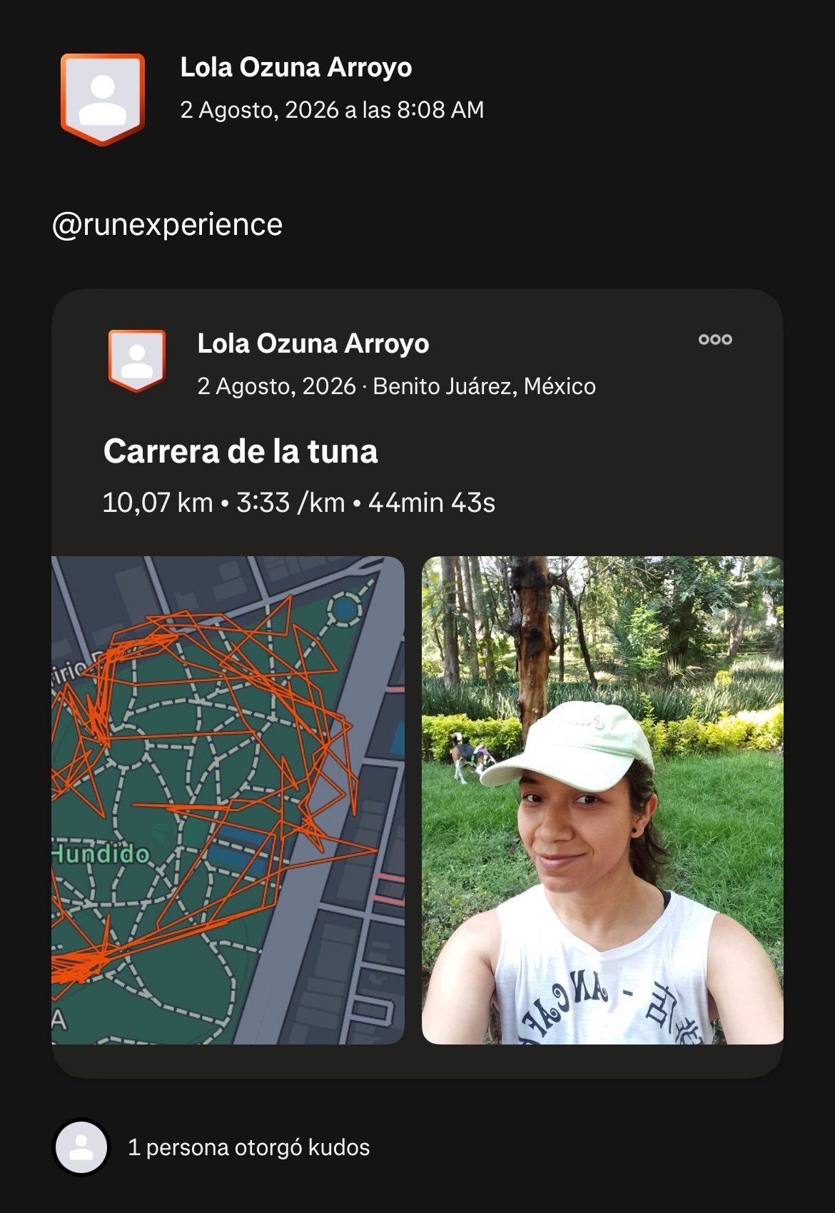 Rese&ntilde;a de un corredor de Carrera Virtual (7 de 7)